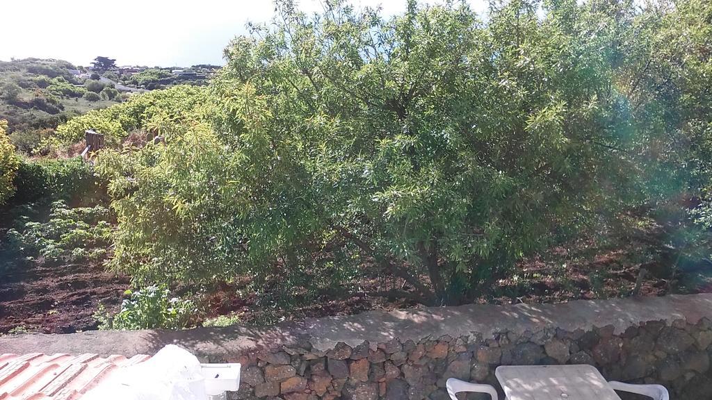 Casa Rural Los Pasos Grandes Isora ภายนอก รูปภาพ